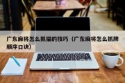 广东麻将怎么抓猫的技巧（广东麻将怎么抓牌顺序口诀）