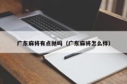 广东麻将有点抛吗（广东麻将怎么样）