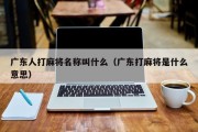 广东人打麻将名称叫什么（广东打麻将是什么意思）