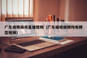 广东胡牌麻将直播视频（广东麻将胡牌所有牌型视频）