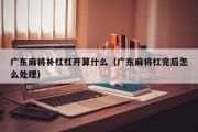 广东麻将补杠杠开算什么（广东麻将杠完后怎么处理）