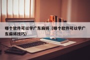 哪个软件可以学广东麻将（哪个软件可以学广东麻将技巧）