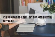 广东麻将东南西北番数（广东麻将里东南西北有什么用）