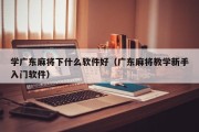 学广东麻将下什么软件好（广东麻将教学新手入门软件）