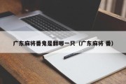 广东麻将番鬼是翻哪一只（广东麻将 番）