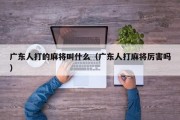 广东人打的麻将叫什么（广东人打麻将厉害吗）