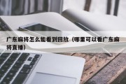广东麻将怎么能看到回放（哪里可以看广东麻将直播）