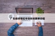 广东麻将带红中分析的简单介绍