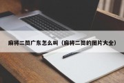 麻将二筒广东怎么叫（麻将二筒的图片大全）